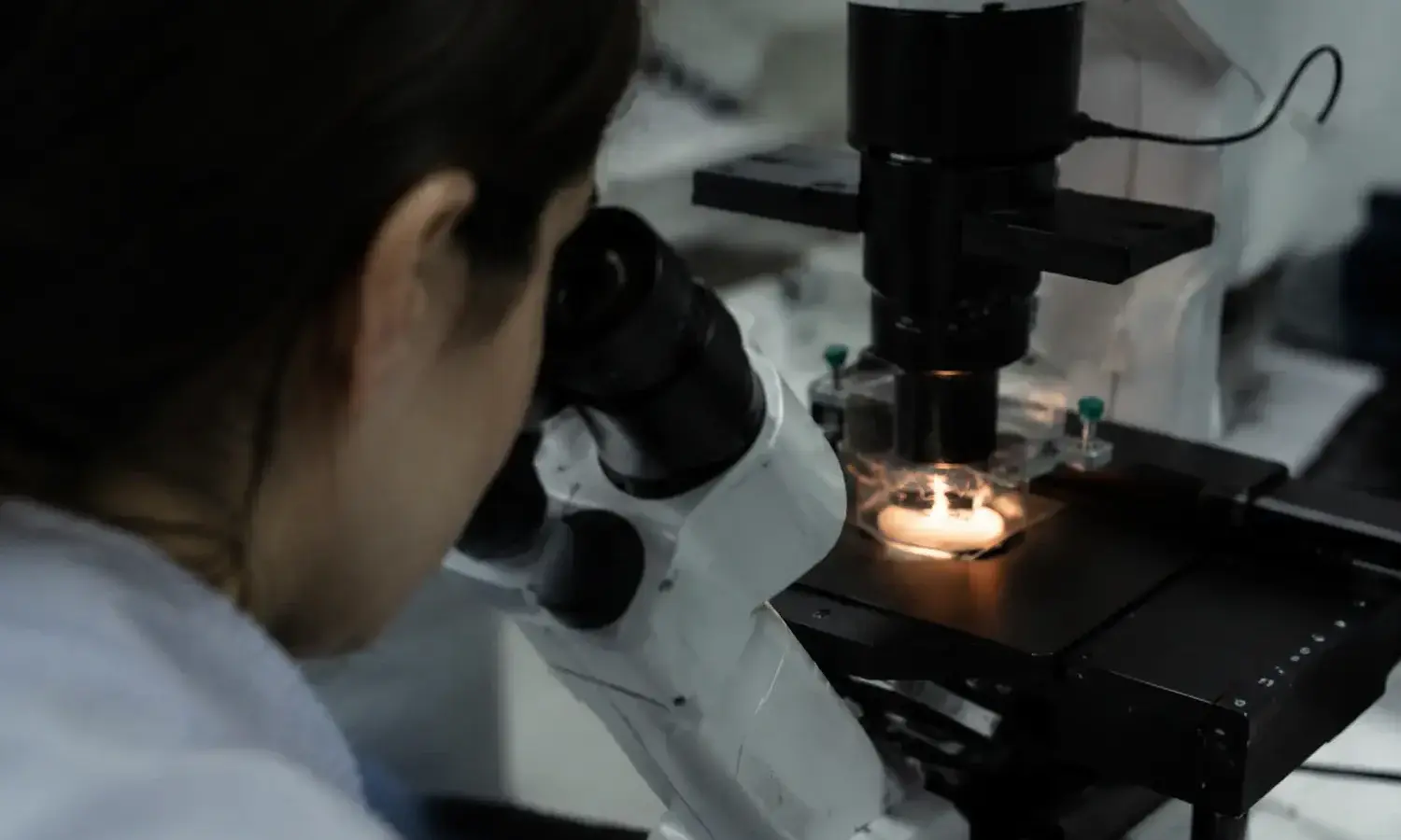 Psylocybina przebudowuje mózg bez halucynacji