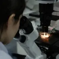 Psylocybina przebudowuje mózg bez halucynacji